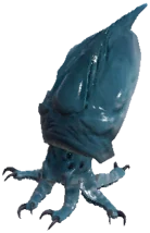 礁岩魷魚